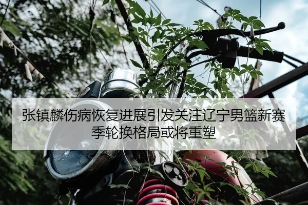 张镇麟伤病恢复进展引发关注辽宁男篮新赛季轮换格局或将重塑